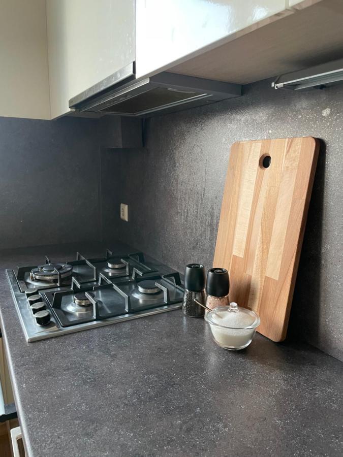 Mg Apartment 카우나스 외부 사진